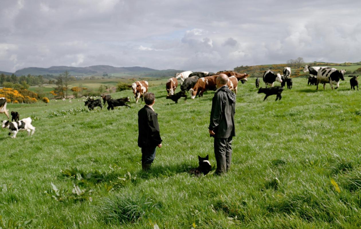 Wilma and David with the herd
