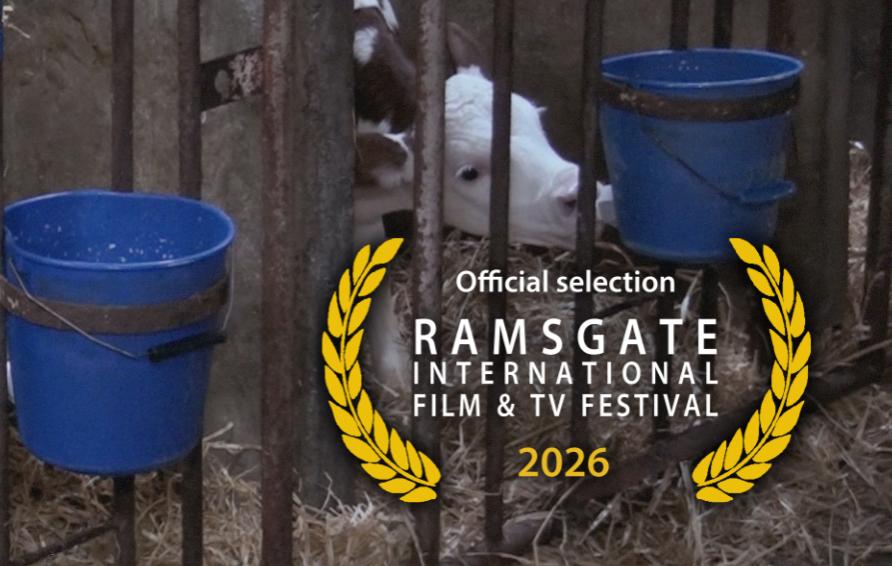 Ramsgate Festival Selection